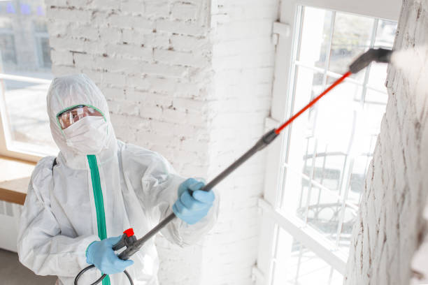 Best Mold Documentation for Insurance Claims  in Schulenburg, TX