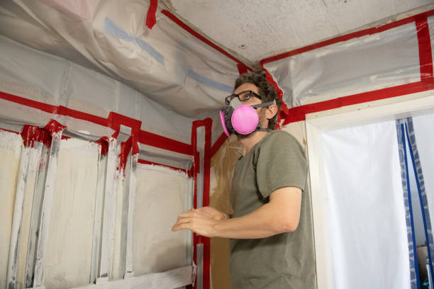 Asbestos and Lead Testing During Mold Inspection in Schulenburg, TX