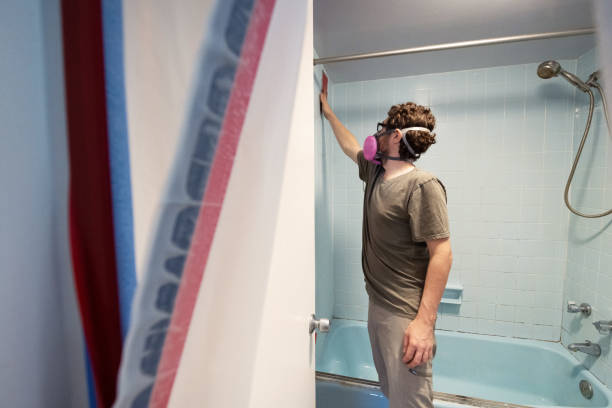  Schulenburg, TX Mold Removal Pros