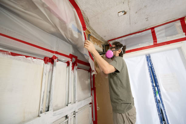 Best Mold Prevention Services  in Schulenburg, TX