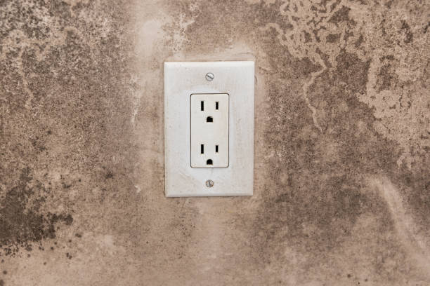 Best Post-Construction Mold Inspection  in Schulenburg, TX